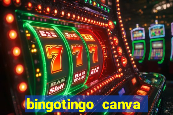 bingotingo canva pro gratis